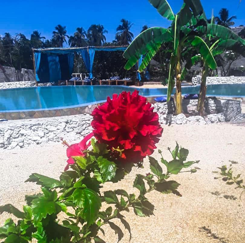 ホテル Lucrezia'S Garden Zanzibar プワニ・チャンガーニ エクステリア 写真